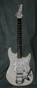 Walker Guitar