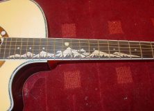 Crafter ML-Rose Closeup