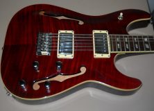 Schecter Guitar in Red