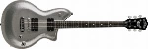 Washburn Silver Sparkle P4
