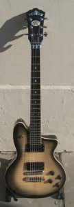 Washburn P Series Burst
