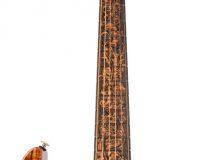 19's Neck